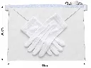tablier-apprenti-compagnon-gants-maconniques.webp